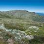 Snowy Mountains region