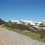 Snowy Mountains region