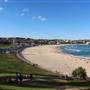 Bondi Beach