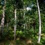 Tunsted Private Property Crystal Creek Valley