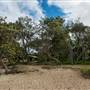 Brunswick Head Estuaries 2017