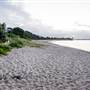 Hickey Island - Yamba