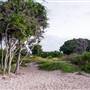 Hickey Island - Yamba