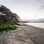Hickey Island - Yamba