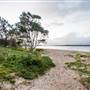 Hickey Island - Yamba