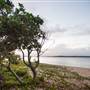 Hickey Island - Yamba