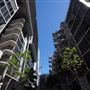 Central Park - Chippendale