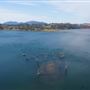 Lake Glenbawn
