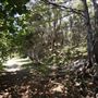 Cameron Boyd Reserve