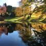 Hillandale Garden