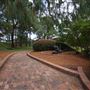 Auburn Botanic Gardens - Japanese Garden