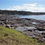 Bass Point Reserve