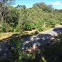 North Byron Parklands