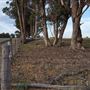Western Focus Backdrop & Prop Studio - Mudgee Rural Location