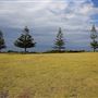Dalmeny