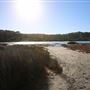 Bermagui