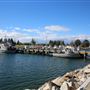 Bermagui