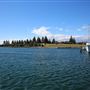 Bermagui