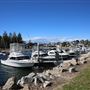 Bermagui