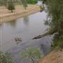 Whylandra Crossing, Dubbo