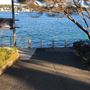 Cronulla