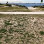 Kurnell Neighbourhood