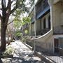 Bourke Street Houses - Surry Hills