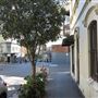 Holt Street Corner House - Surry Hills