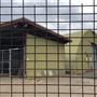 North Head Sanctuary - Military Sheds & Hangars