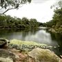 Parramatta