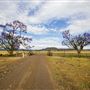 Narrabri Shire