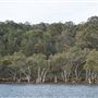 Hawkesbury River - Mooney Mooney & Milsons Passage