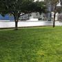 Ballaarat Park - Pyrmont