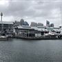 Metcalfe Park & Casino Wharf