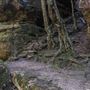 Mermaid's Cave