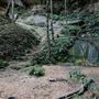 Mermaid's Cave