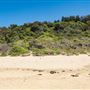 Mystics Beach (Minnamurra Beach) - Killalea State Park
