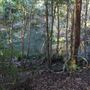 Clarrie Hall Dam