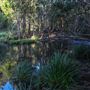 Clarrie Hall Dam