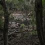 Clarrie Hall Dam