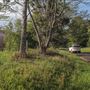 Coolamon Scenic Drive in the Byron Bay Hinterlands
