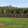 Coolamon Scenic Drive in the Byron Bay Hinterlands