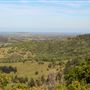 Coolamon Scenic Drive in the Byron Bay Hinterlands