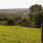 Coolamon Scenic Drive in the Byron Bay Hinterlands