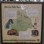 Minyon Falls - Nightcap National Park