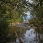 Minyon Falls - Nightcap National Park