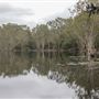 Tyagarah Nature Reserve