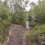 Tyagarah Nature Reserve