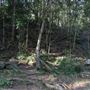 Whian Whian Falls