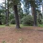 Jenolan State Forest